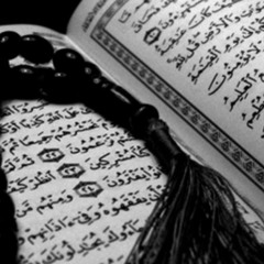 تلاوة عبدالرحمن هوارى من صلاة التراويح12 رمضان 1446 سوره يوسف