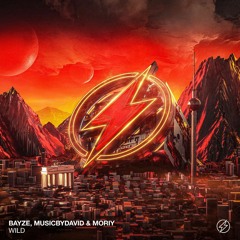 Bayze & MusicByDavid & Moriy & oliver - Wild (Cancelled)