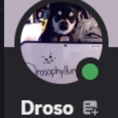 Furill - Deserve It ( Made for Droso an Extention )