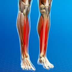 Zoomies Reloaded with Izzy Iz