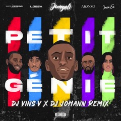 Jungeli, Abou Debeing, Alonzo, Imen Es & Lossa - Petit Génie (DJ Vins V x DJ Johann Remix)