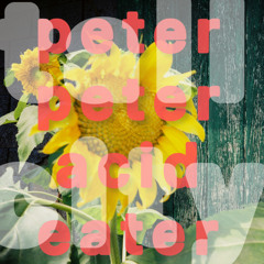 Peter Peter Acid Eater