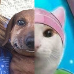 max vs chey (i killed all my friends) ft. fallenchungus