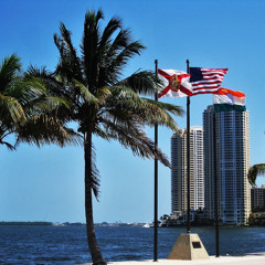 “Urban House Vibes: Miami Edition”