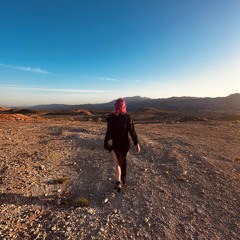 JOURNEY THRU VIBES VOL. 2