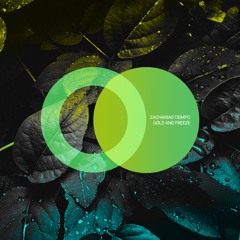 Zacharias Tiempo - Gold And Freeze (Original Mix) [AREA VERDE] // Progressive House Premiere