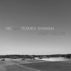 Vast Fields - [NIC and the TEXMEX SHAMAN]