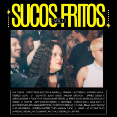 sucos fritos 1