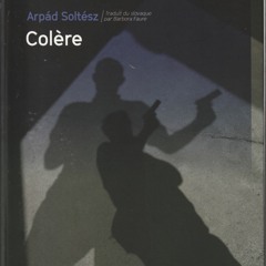 Arpád Soltész - Colère