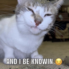 Free bird(prod.triheart).m4a