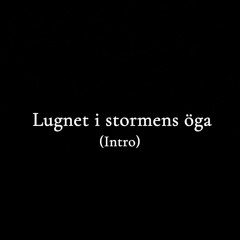 Lugnet i stormens öga