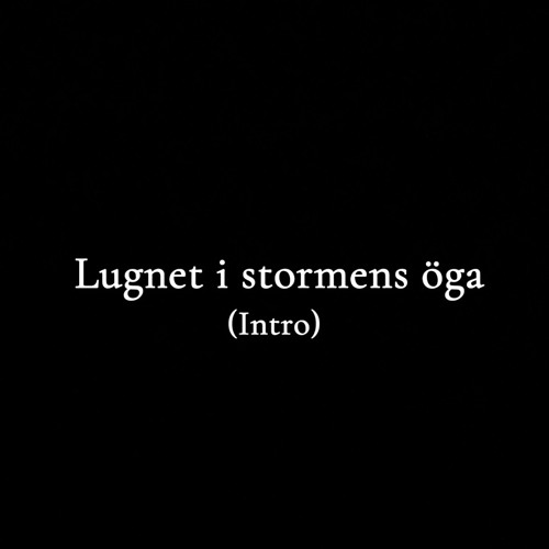 Lugnet i stormens öga