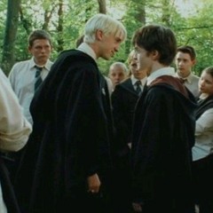 drarry i'm crazy but you like that