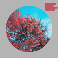 Digital Wilderness - Part Two - Album Samples
