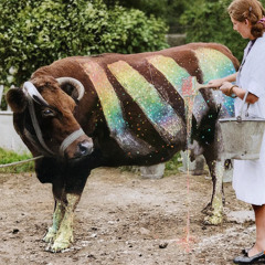 Painting Cows - Baloney Balderdash | Al Nico Remix