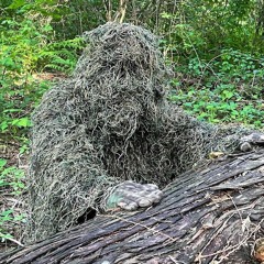 ashortscalebassiseasier