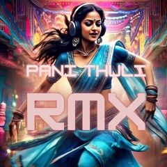 Pani Thuli Rmx.mp3