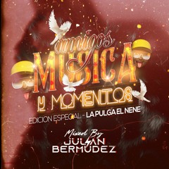 AMIGOS, MUSICA & MOMENTOS EDICION ESPECIAL-(LA PULGA)