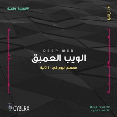 سايبراكس | تصبيرة رقمية | الويب العميق