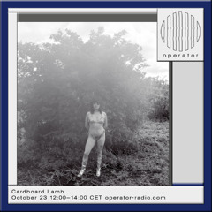 Cardboard Lamb - 23rd October 2025