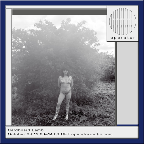 Cardboard Lamb - 23rd October 2025