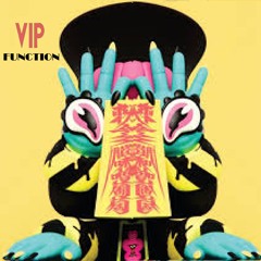 VIP FUNCTION