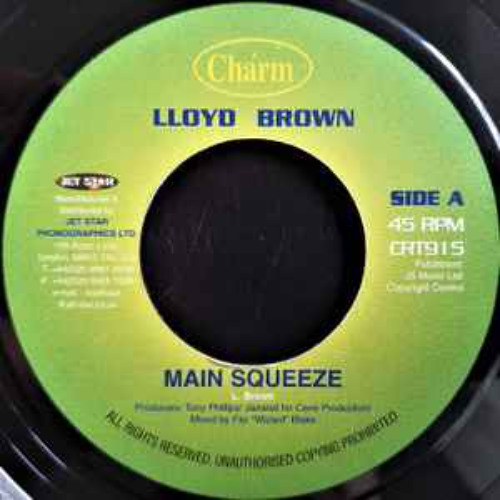 MAIN SQUEEZE...Rub-A-Dub Selection Feat' - Lloyd Brown, Maxi Priest, Ambelique, Mr Vegas, Sanchez, Don Campbell +++