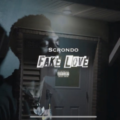 Scrondo-Fake Love (Offical Audio)