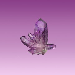 CIRCUI- LOKA (Circuit)