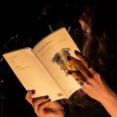 Nuits filantes projet initial avec texte (extrait)
