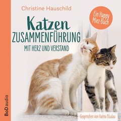 Katzenzusammenführung mit Herz und Verstand Hörprobe