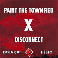 Doja Cat X Tiësto - Paint The Town Red X Disconnect (DJ Endler Remix)