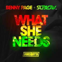 What She Needs - Benny Page & SubLow Hz (Original Mix)