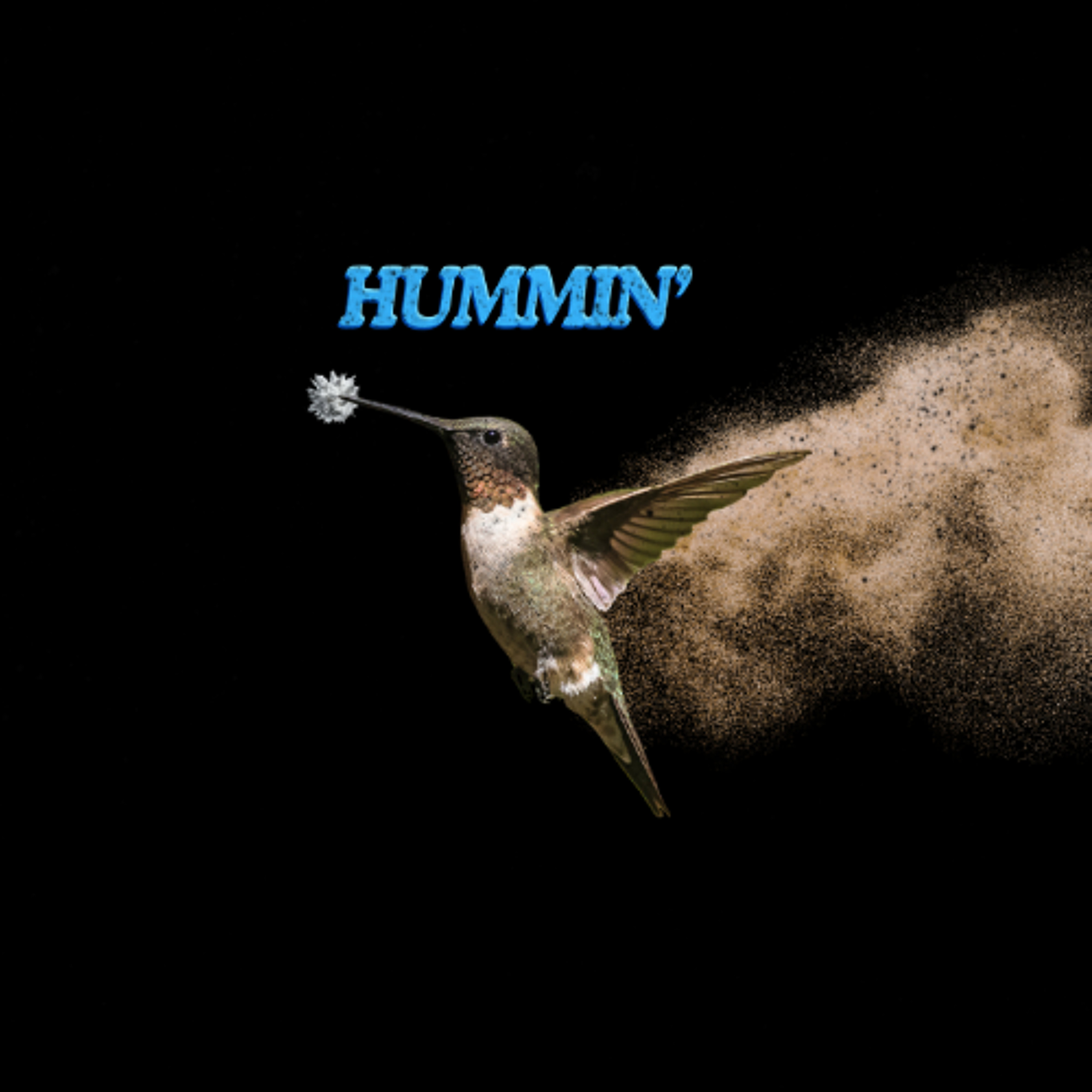 Hummin' episode artwork