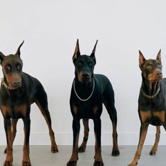 TRIFECTA PROD. BY DARREN BOY