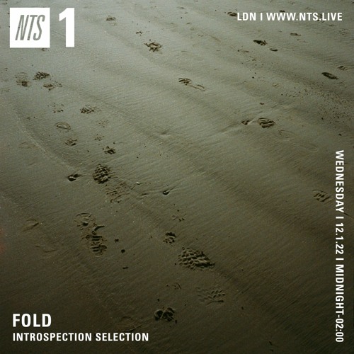Fold on NTS Radio (13.1.22) Introspection Selection