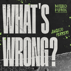 Angelo Ferreri - WHAT'S WRONG? // MFR431