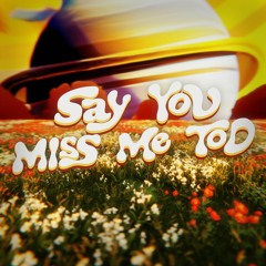 sayyoumissmetoo [prod. imtoofuego]