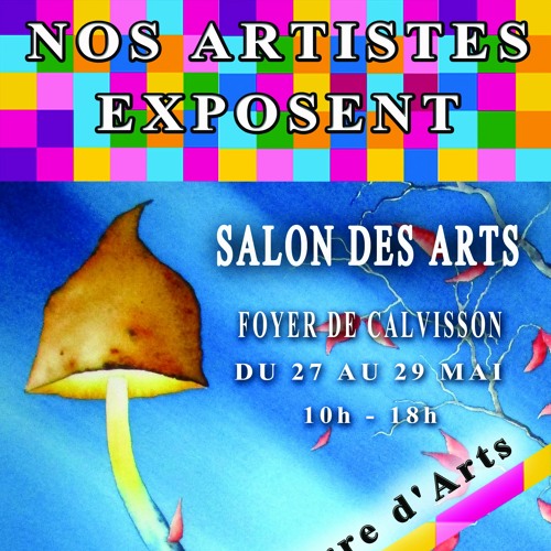 Emission La Vaunage Terre D'art - Salon des Arts Calvisson du 27 au 29 Mai 2023