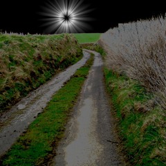 The Road to Loneliness (naviarhaiku552)