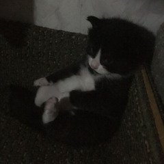 cupsize - палата 136
