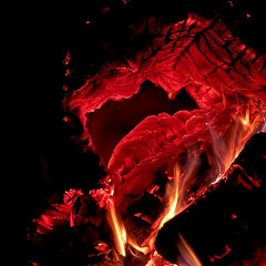 Burn it Down