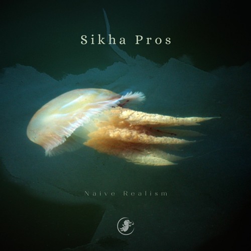 Sikha Pros - Naive Realism