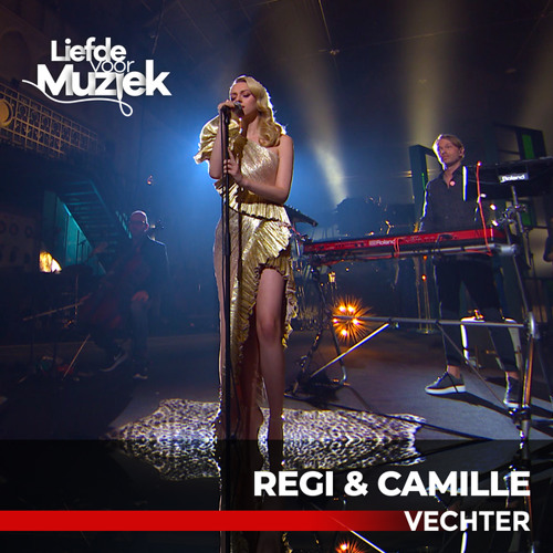 Vechter Uit Liefde Voor Muziek By Regi