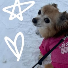5 STAR
