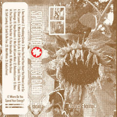 Once You Find Your Heart You'll Never Let It Go