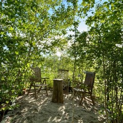 Sunny Sunday House ☀️