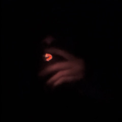 5% tint (prod.EDDiEGAWDD)