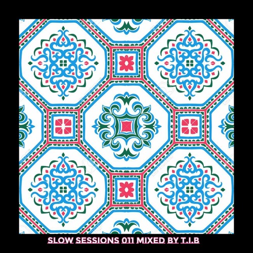 Slow Sessions 011 Mixed By T.I.B (ZA)