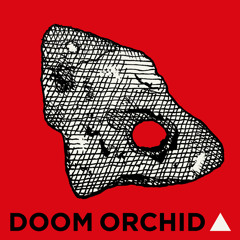 Listen To Ness: In conversation with Robert Macfarlane